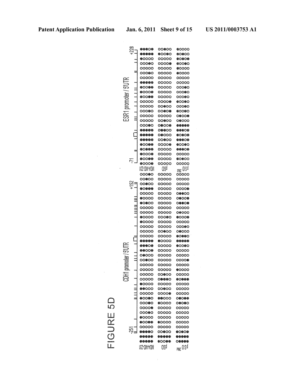 COMPOSITIONS AND METHODS FOR DISRUPTING THE FUNCTION OF THE TRANSCRIPTIONAL REPRESSOR COMPONENT Sin3A-PAH2 DOMAIN TO INDUCE DIFFERENTIATION AND GROWTH INHIBITION IN BREAST CANCER - diagram, schematic, and image 10