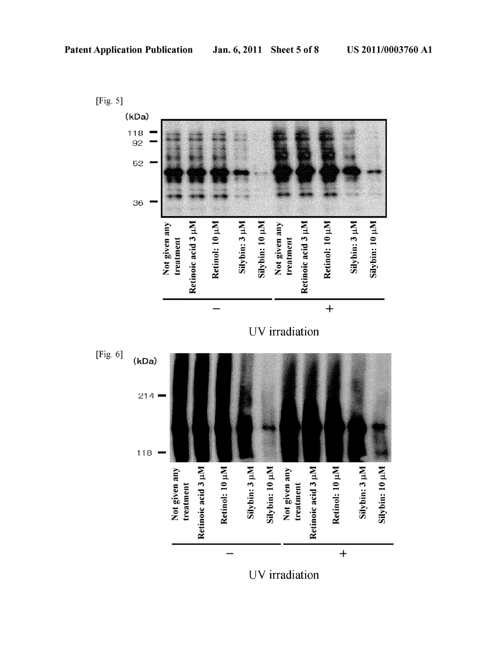 ABNORMAL PROTEIN REMOVING METHOD - diagram, schematic, and image 06