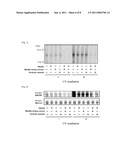 ABNORMAL PROTEIN REMOVING METHOD diagram and image