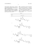 ALKOXY-CARBONYL-AMINO-ALKYNYL-ADENOSINE COMPOUNDS AND DERIVATIVES THEREOF AS A2AR AGONISTS diagram and image