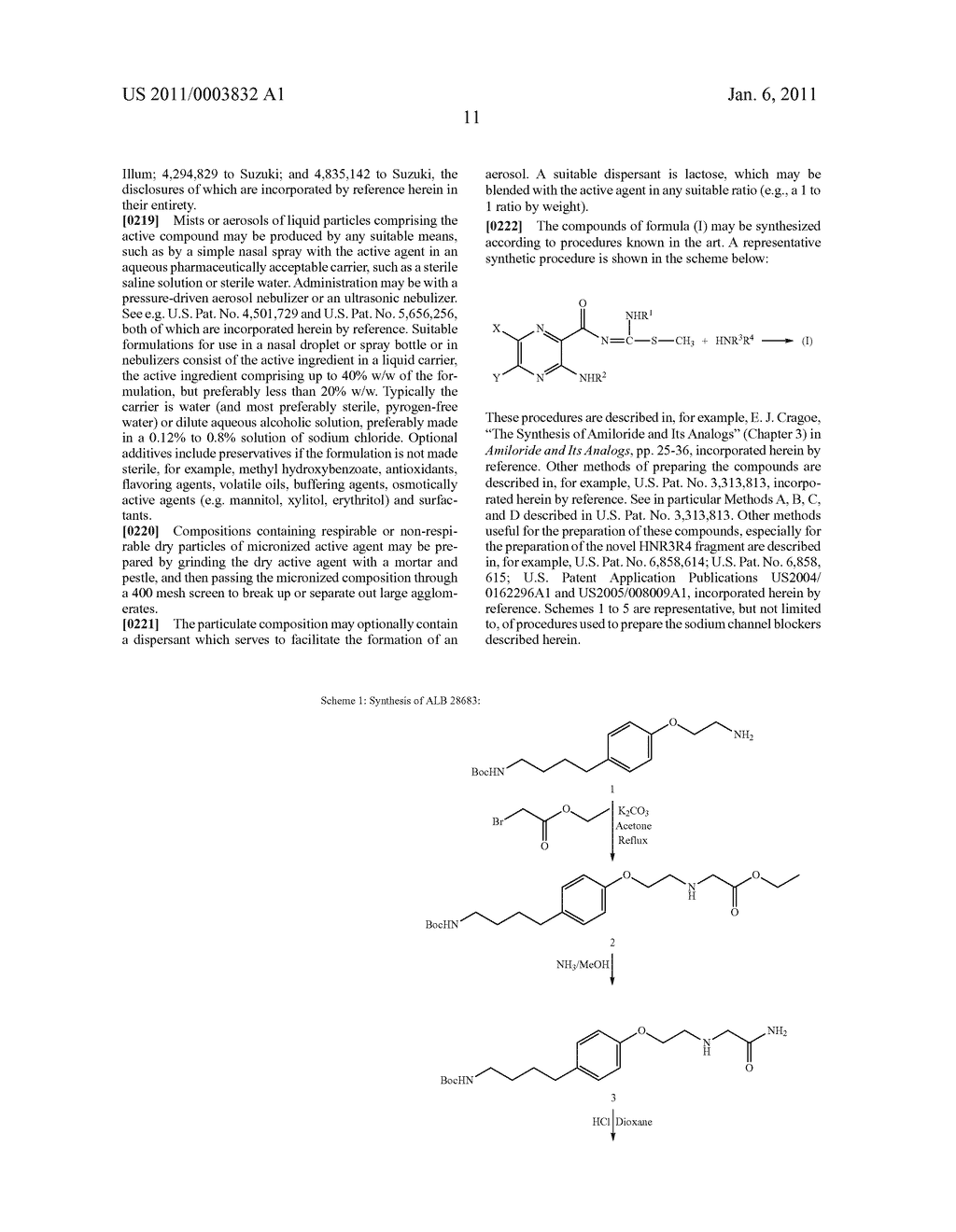 NEW CAPPED Pyrazinoylguanidine SODIUM CHANNEL BLOCKERS - diagram, schematic, and image 12