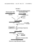 ALLOSTERIC TRANS-SPLICING GROUP I RIBOZYME WHOSE ACTIVITY OF TARGET-SPECIFIC RNA REPLACEMENT IS CONTROLLED BY THEOPHYLLINE diagram and image