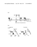 Viral Vectors and Methods of Use diagram and image