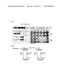 Viral Vectors and Methods of Use diagram and image