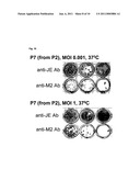 Viral Vectors and Methods of Use diagram and image