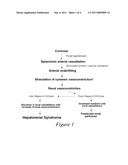 USE OF ANGIOGENESIS ANTAGONISTS IN CONDITIONS OF ABNORMAL VENOUS PROLIFERATION diagram and image