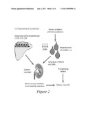 USE OF ANGIOGENESIS ANTAGONISTS IN CONDITIONS OF ABNORMAL VENOUS PROLIFERATION diagram and image