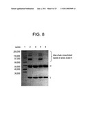 CONJUGATION METHODS diagram and image