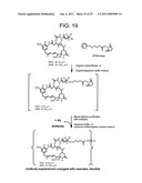 CONJUGATION METHODS diagram and image