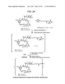 CONJUGATION METHODS diagram and image