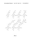 METHOD FOR MODIFYING LIGNIN STRUCTURE USING MONOLIGNOL FERULATE CONJUGATES diagram and image