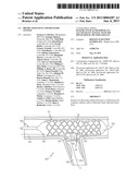 Bifurcated Stent and Delivery System diagram and image