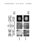 Method to quantify discrete pore shapes, volumes, and surface areas using confocal profilometry diagram and image