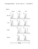 Method Of Identifying A Compound For Preventing And/Or Treating An Autoimmune Disease diagram and image