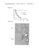 Method Of Identifying A Compound For Preventing And/Or Treating An Autoimmune Disease diagram and image