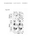 Method Of Identifying A Compound For Preventing And/Or Treating An Autoimmune Disease diagram and image