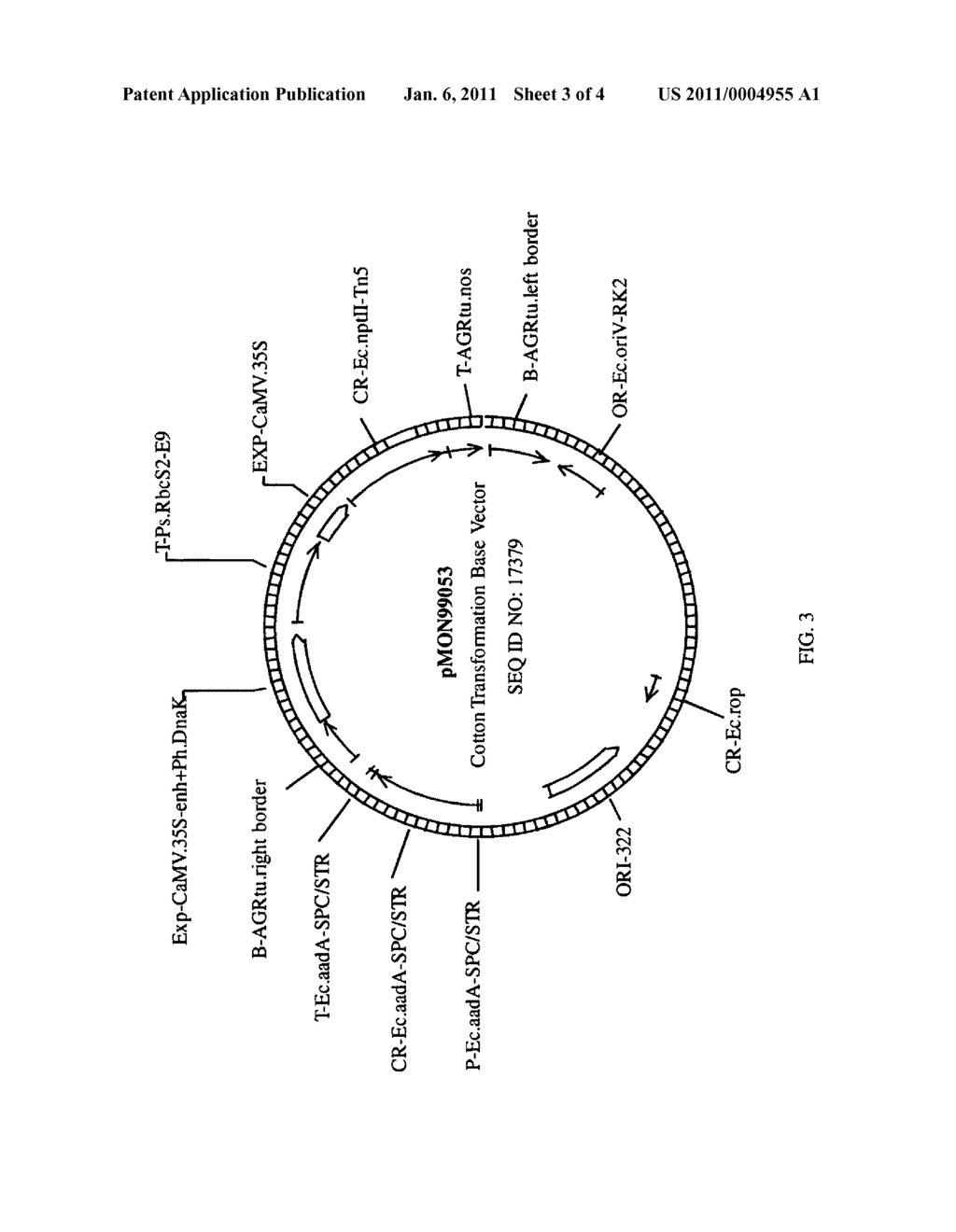 Transgenic plants with enhanced agronomic traits - diagram, schematic, and image 04