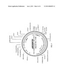 Transgenic plants with enhanced agronomic traits diagram and image