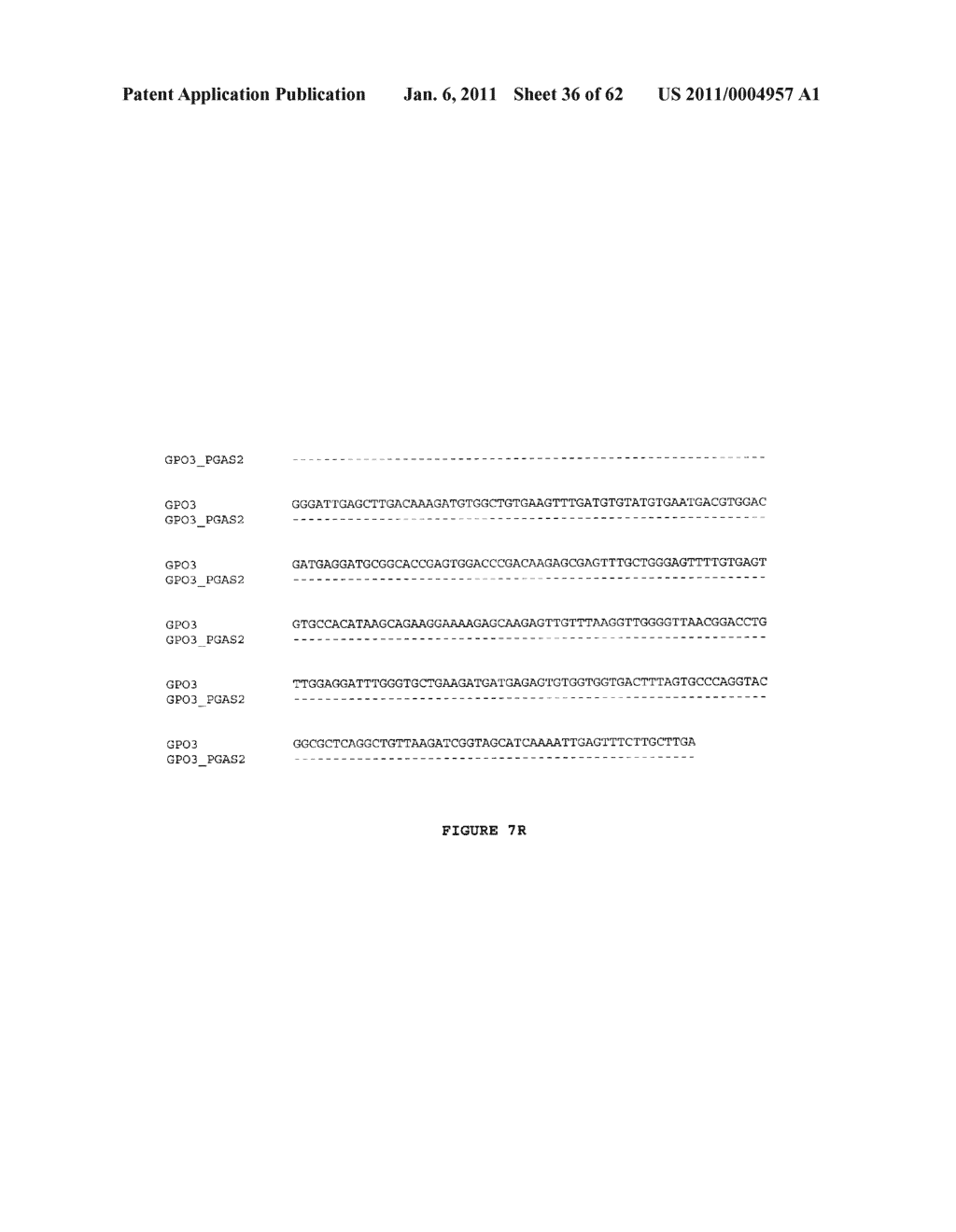 GENETICALLY MODIFIED REDUCED-BROWNING FRUIT-PRODUCING PLANT AND PRODUCED FRUIT THEREOF, AND METHOD OF OBTAINING SUCH - diagram, schematic, and image 37