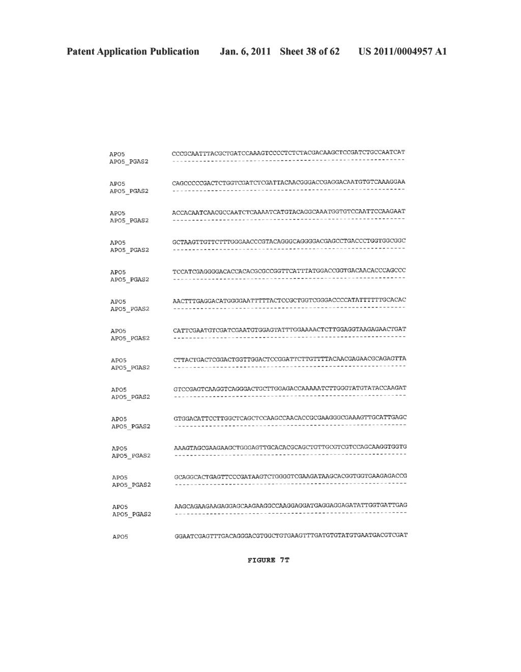 GENETICALLY MODIFIED REDUCED-BROWNING FRUIT-PRODUCING PLANT AND PRODUCED FRUIT THEREOF, AND METHOD OF OBTAINING SUCH - diagram, schematic, and image 39