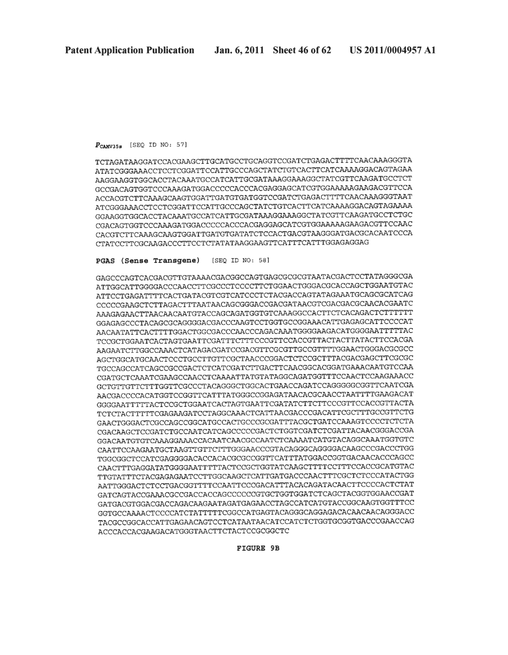 GENETICALLY MODIFIED REDUCED-BROWNING FRUIT-PRODUCING PLANT AND PRODUCED FRUIT THEREOF, AND METHOD OF OBTAINING SUCH - diagram, schematic, and image 47