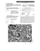 REDUCED SOLIDITY WEB COMPRISING FIBER AND FIBER SPACER OR SEPARATION MEANS diagram and image