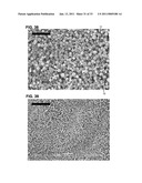 REDUCED SOLIDITY WEB COMPRISING FIBER AND FIBER SPACER OR SEPARATION MEANS diagram and image