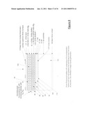 High efficiency tandem solar cells and a method for fabricating same diagram and image