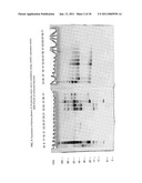 FFE MEDIA AND FFE METHODS COMPRISING VOLATILE SEPARATION MEDIA diagram and image