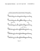 UNIVERSAL SAMPLE PREPARATION SYSTEM AND USE IN AN INTEGRATED ANALYSIS SYSTEM diagram and image