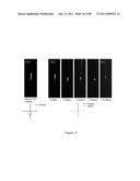 UNIVERSAL SAMPLE PREPARATION SYSTEM AND USE IN AN INTEGRATED ANALYSIS SYSTEM diagram and image