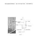 UNIVERSAL SAMPLE PREPARATION SYSTEM AND USE IN AN INTEGRATED ANALYSIS SYSTEM diagram and image