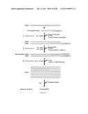 UNIVERSAL SAMPLE PREPARATION SYSTEM AND USE IN AN INTEGRATED ANALYSIS SYSTEM diagram and image