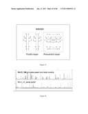 UNIVERSAL SAMPLE PREPARATION SYSTEM AND USE IN AN INTEGRATED ANALYSIS SYSTEM diagram and image