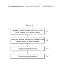 Method for Fabricating Membrane having Hydrophilicity and Hydrophobicity diagram and image