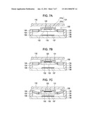 DYNAMIC QUANTITY DETECTING MEMBER AND DYNAMIC QUANTITY DETECTING APPARATUS diagram and image