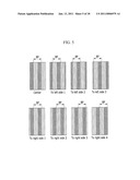 SYSTEM FOR CONTROLLING BRIGHTNESS FLICKER OF PARALLAX BARRIER LCD THAT HAS WIDE VIEWING ANGLE AND METHOD THEREOF diagram and image