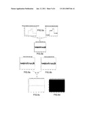 Mixed Optical Device for Multifocal Imaging and IR Calibration diagram and image