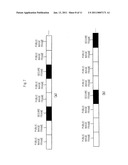 COMMUNICATION SYSTEM, TRANSMISSION DEVICE AND RECEPTION DEVICE diagram and image