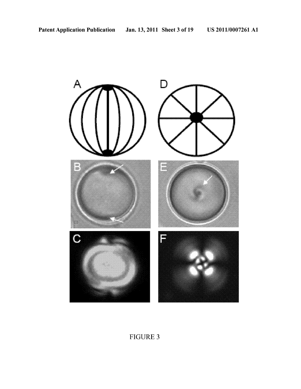 ANALYTE DETECTION USING LIQUID CRYSTALS - diagram, schematic, and image 04