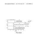 PROCESS FOR PRODUCTION OF HETERODIMERS OF GLUTAMIC ACID diagram and image