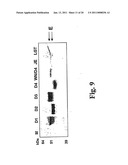 MONOCLONAL ANTIBODIES THAT BIND OR NEUTRALIZE DENGUE VIRUS diagram and image