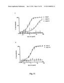 MONOCLONAL ANTIBODIES THAT BIND OR NEUTRALIZE DENGUE VIRUS diagram and image