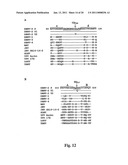 MONOCLONAL ANTIBODIES THAT BIND OR NEUTRALIZE DENGUE VIRUS diagram and image