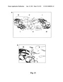 MONOCLONAL ANTIBODIES THAT BIND OR NEUTRALIZE DENGUE VIRUS diagram and image