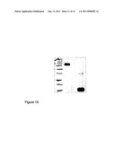 INTERFERON FUSION PROTEINS diagram and image