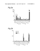 METHODS AND MEANS FOR THE TREATMENT OF HPV INDUCED INTRAEPITHELIAL NEOPLASIAS diagram and image