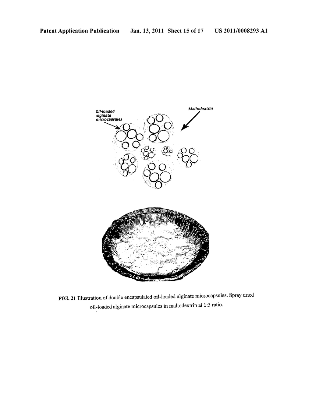 DEVICE AND METHOD FOR PREPARING MICROPARTICLES - diagram, schematic, and image 16