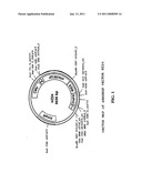 Soluble glycosaminoglycanases and methods of preparing and using soluble glycosaminoglycanases diagram and image