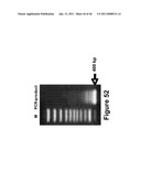 METHODS OF AND COMPOSITIONS FOR INHIBITING THE PROLIFERATION OF MAMMALIAN CELLS diagram and image